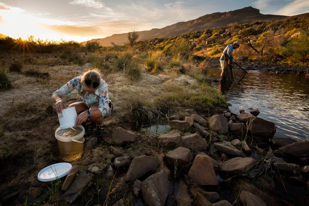 Cederberg Conservation — photograph 14